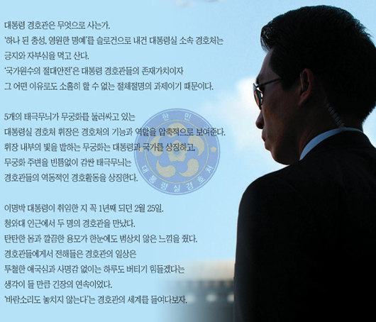 국경 콜리는 낯선 사람에게 우호적이거나 위험한가