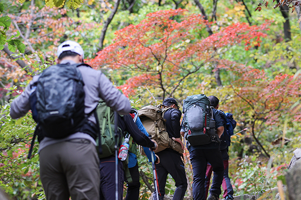 등산객들이 서울 강북구 북한산국립공원에서 단풍으로 물든 산을 오르고 있다.(사진=연합뉴스)